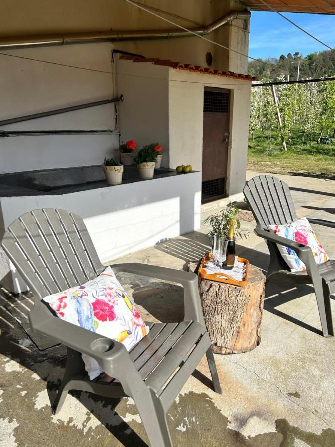 Casa Vicente Villa Lamego Buitenkant foto