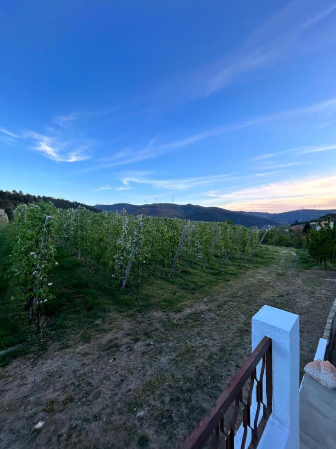 Casa Vicente Villa Lamego Buitenkant foto
