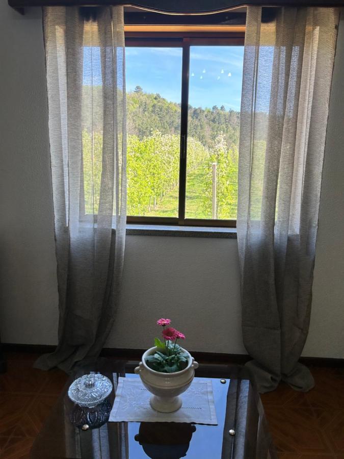 Casa Vicente Villa Lamego Buitenkant foto