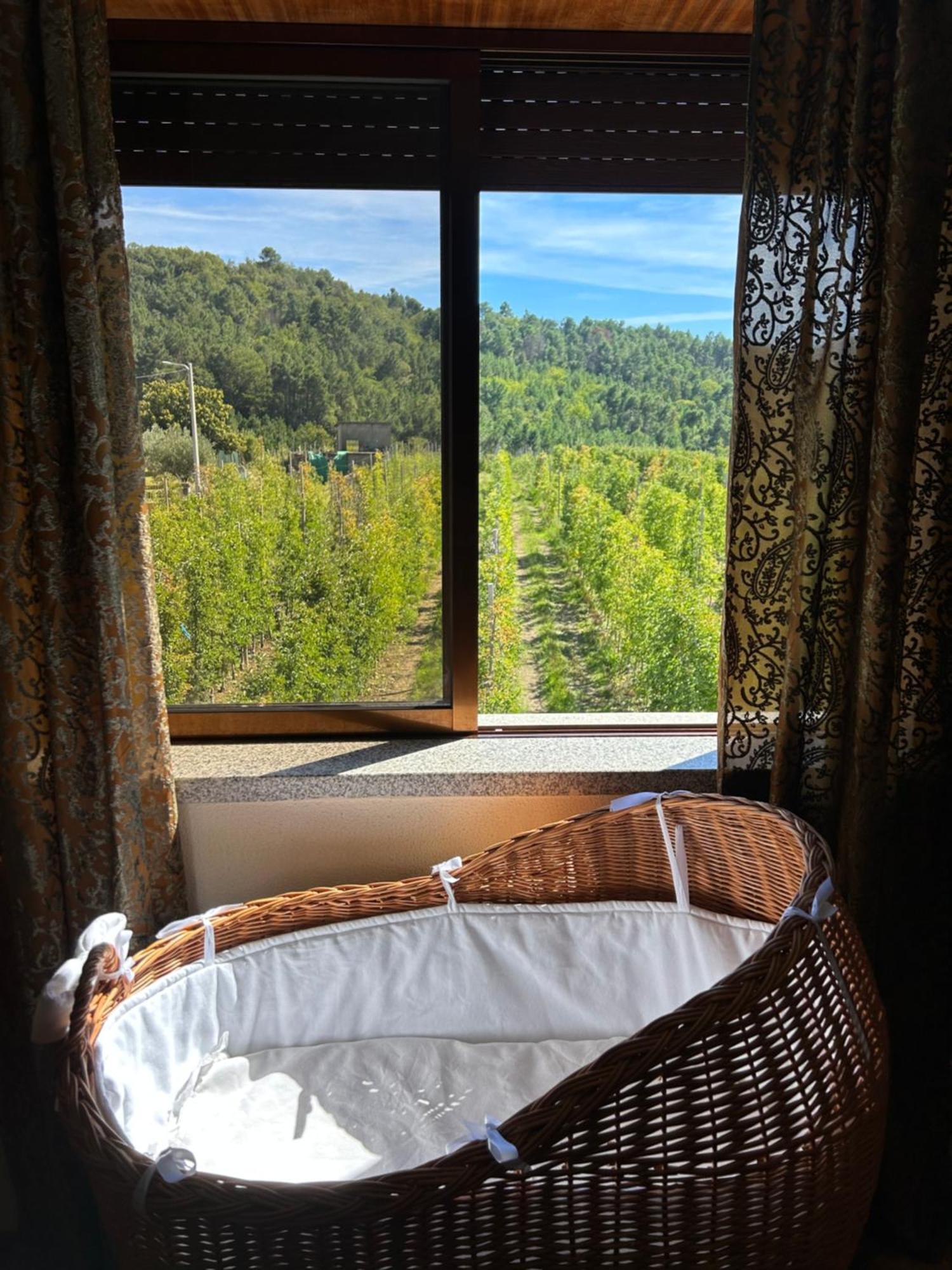 Casa Vicente Villa Lamego Buitenkant foto