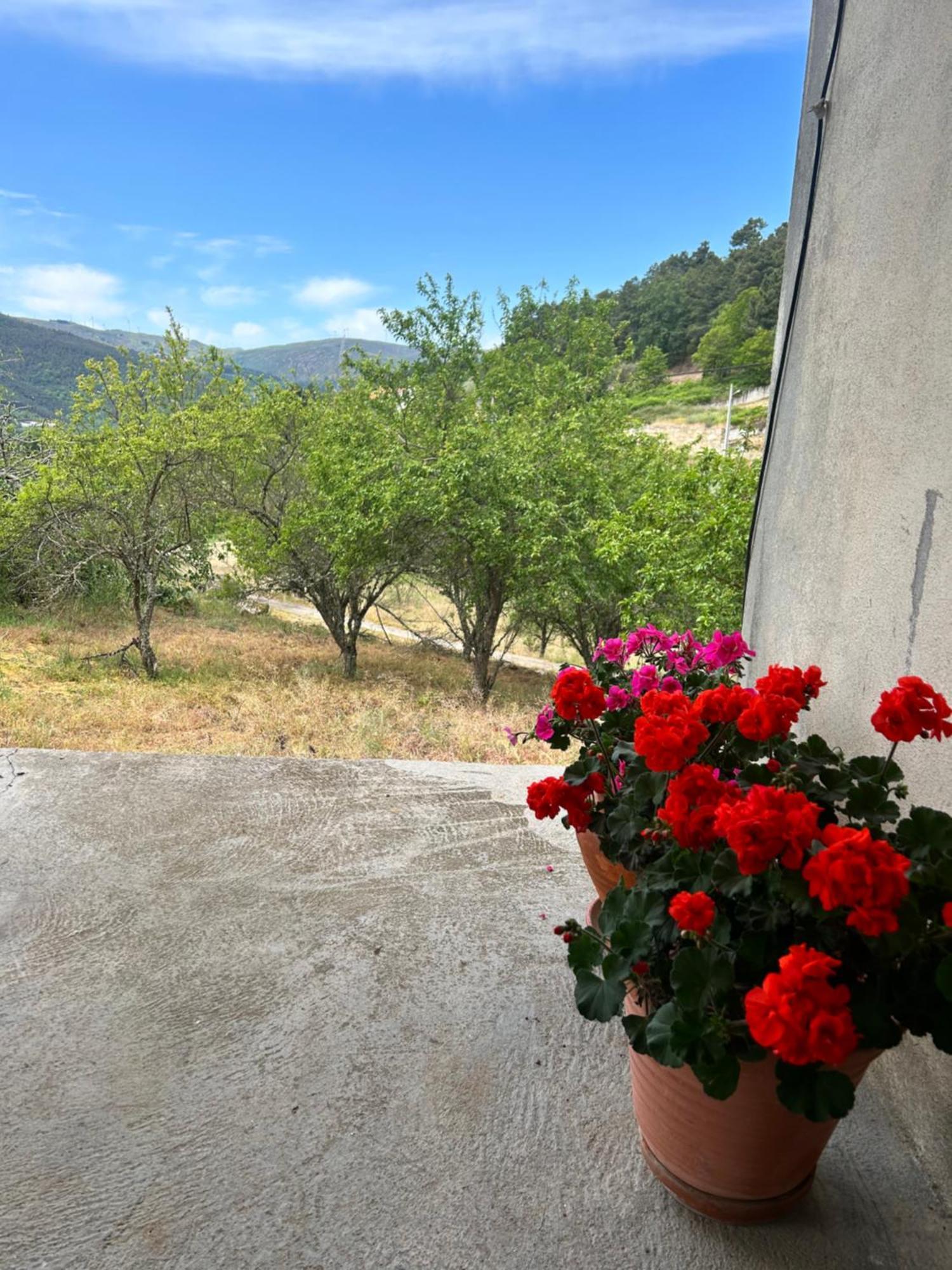 Casa Vicente Villa Lamego Buitenkant foto
