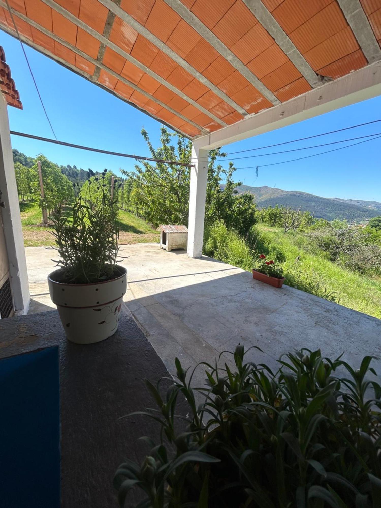 Casa Vicente Villa Lamego Buitenkant foto