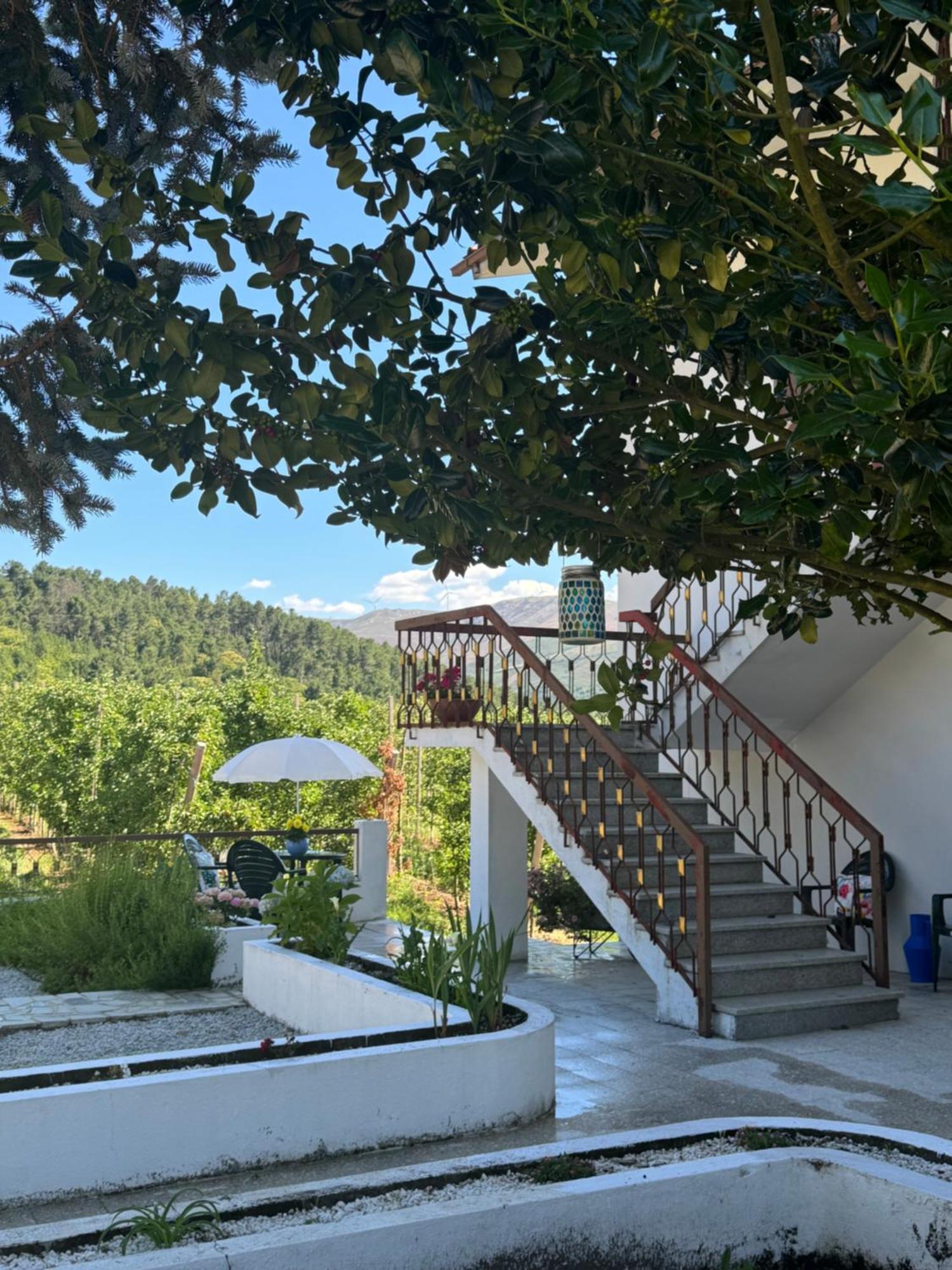 Casa Vicente Villa Lamego Buitenkant foto