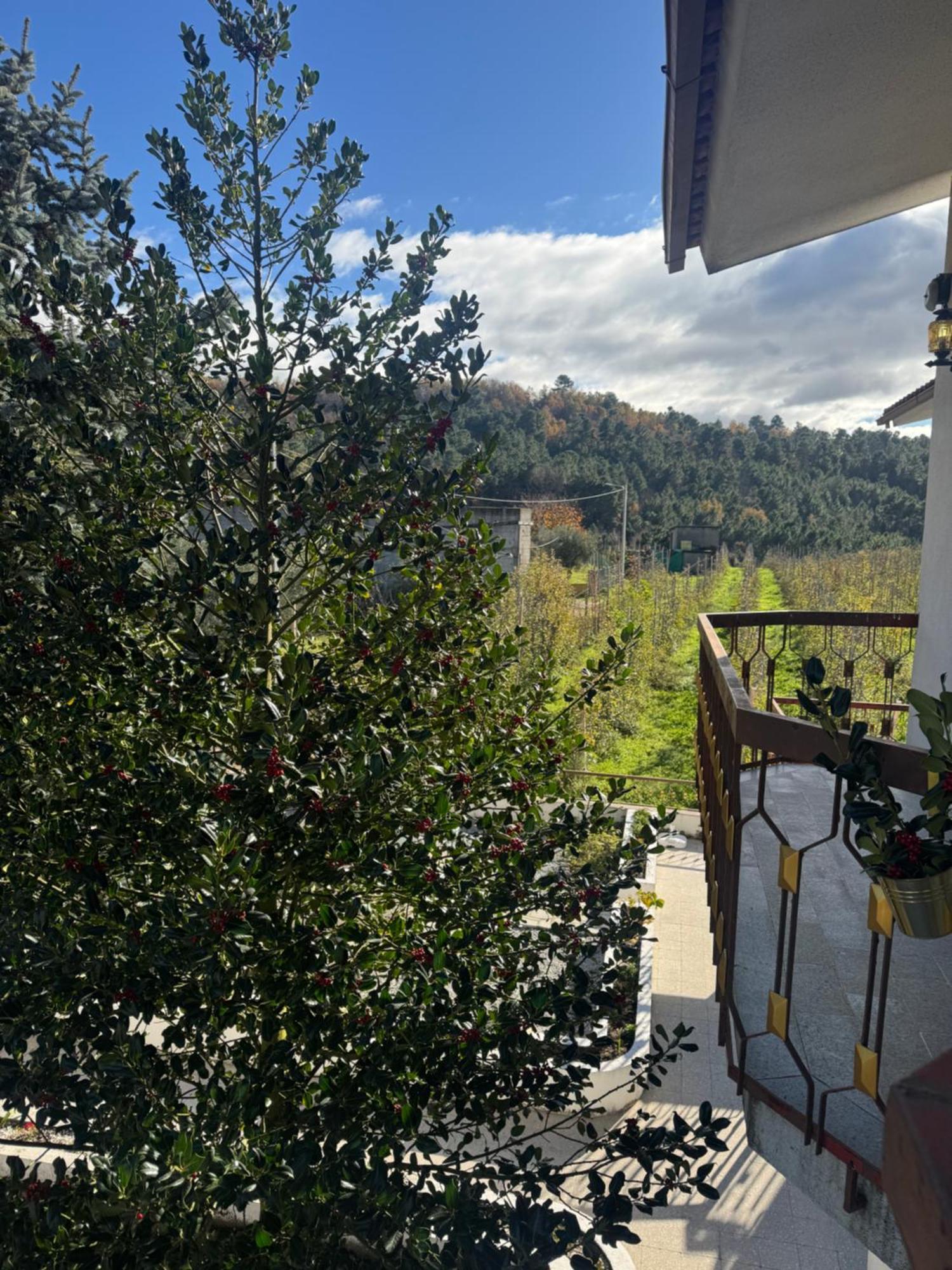 Casa Vicente Villa Lamego Buitenkant foto